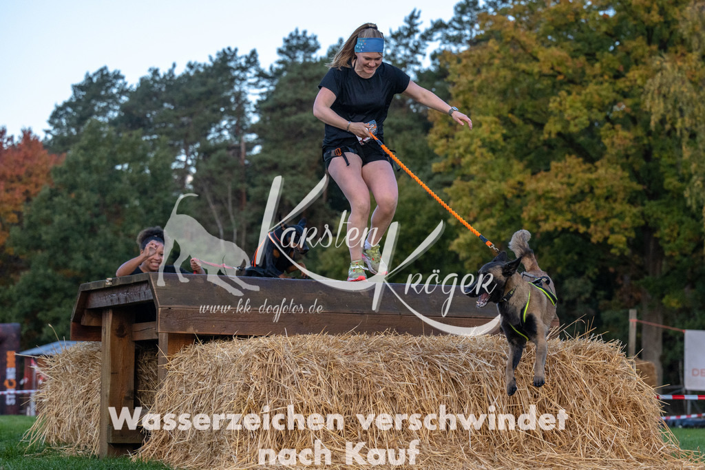 0817_ZZ90201 | kk-dogfotos