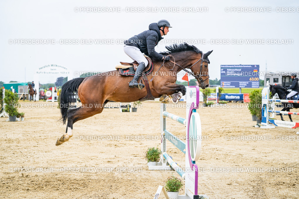 DSC08462 | Pferdegrafie