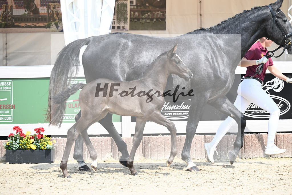Arezzo Man x Calido I_SF_Maier u Mayerfoels_12250525 | hf-fotografie - Realisiert mit Pictrs.com