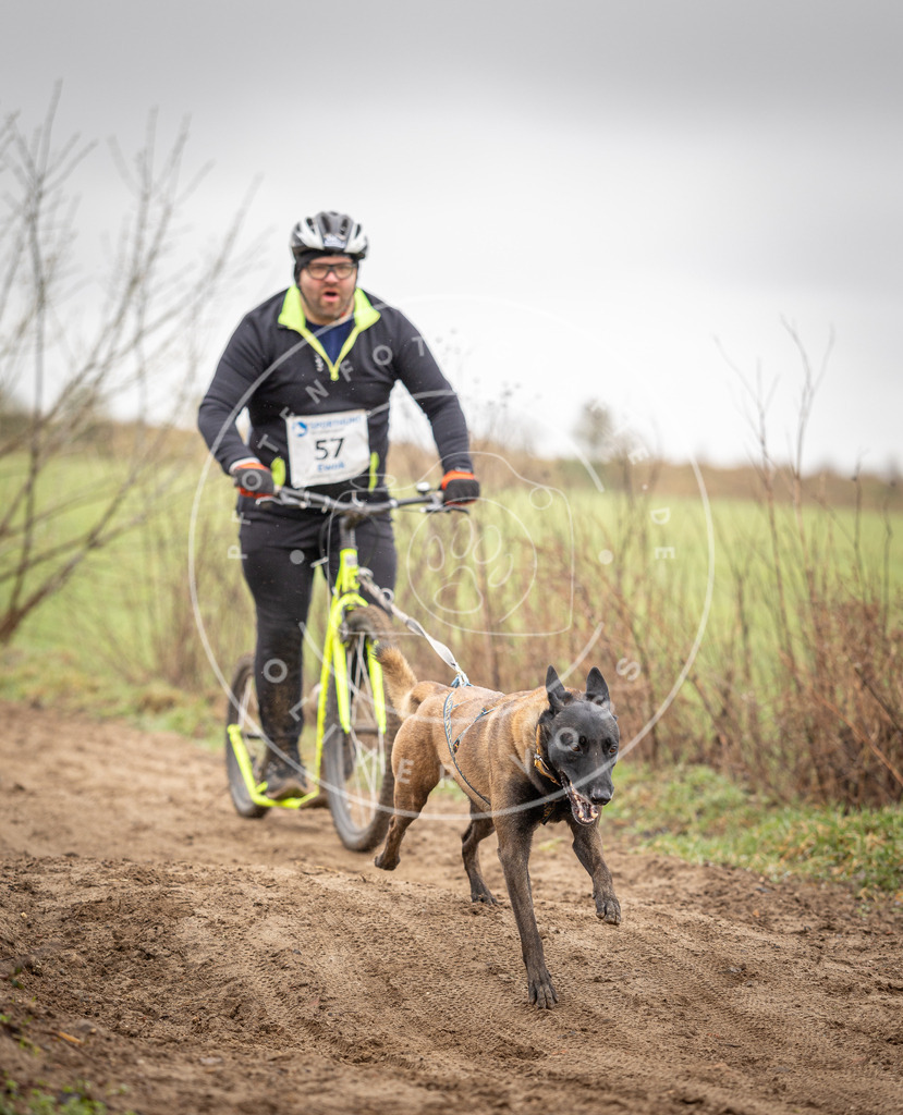 DV3A9304 | Hundefotografie, Tierfotograf, Pfotenfotografie, Fotoshooting Hund, Hunde Portrait, Hundesport, Hundeportraits, Heideshooting, Hunde, Sportfotograf, Hundefotograf, Turnierhundsport, THS,  - Realisiert mit Pictrs.com