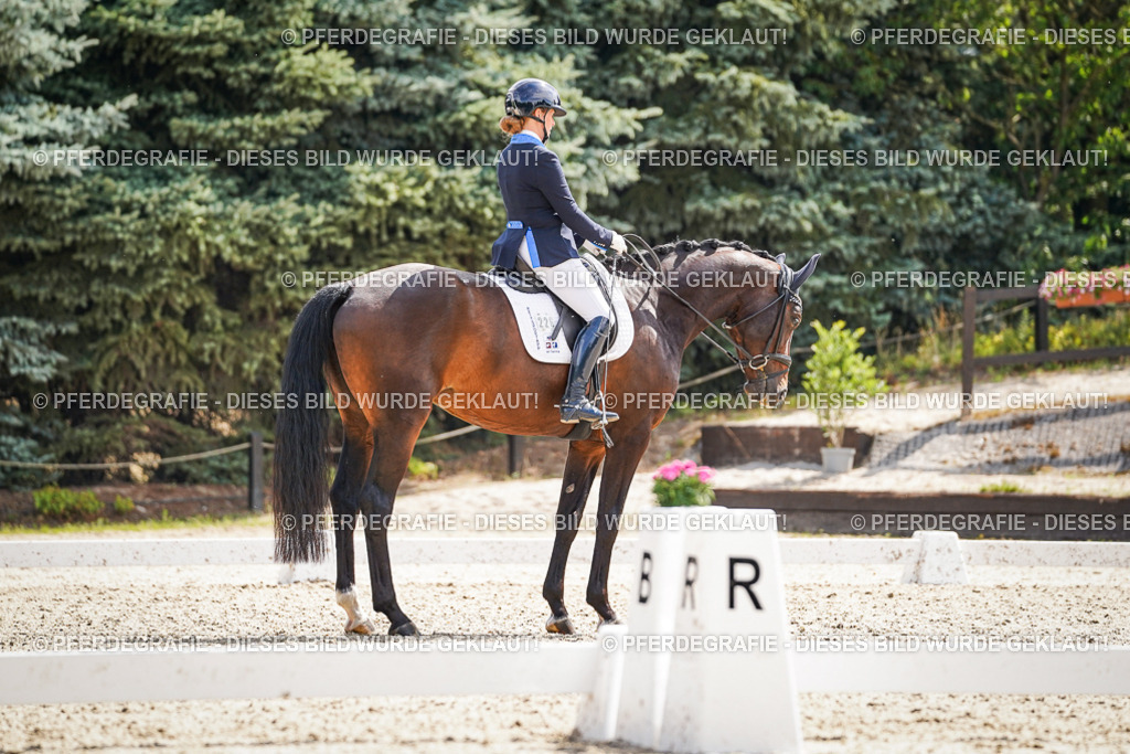 DSC09362 | Pferdegrafie