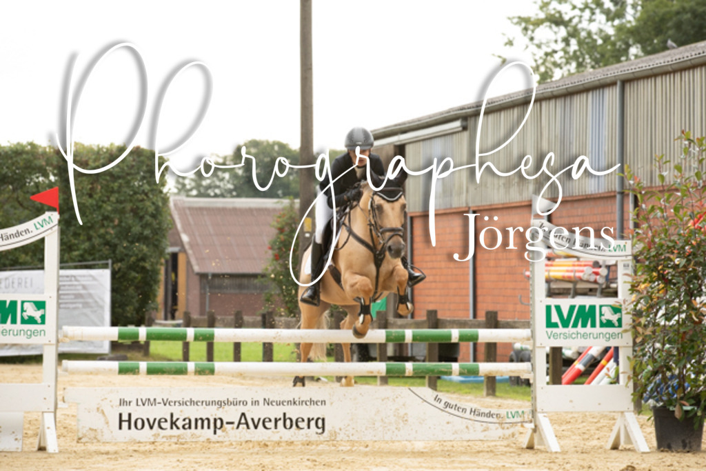 IMG_6546 | photographesa-joergens - Realisiert mit Pictrs.com