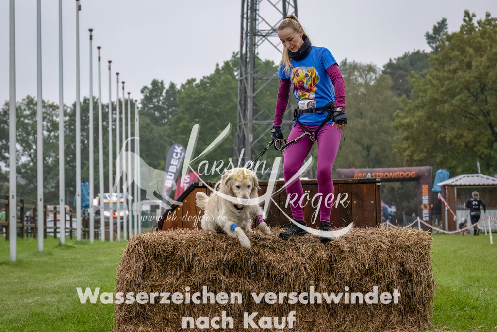 1230--21 | kk-dogfotos