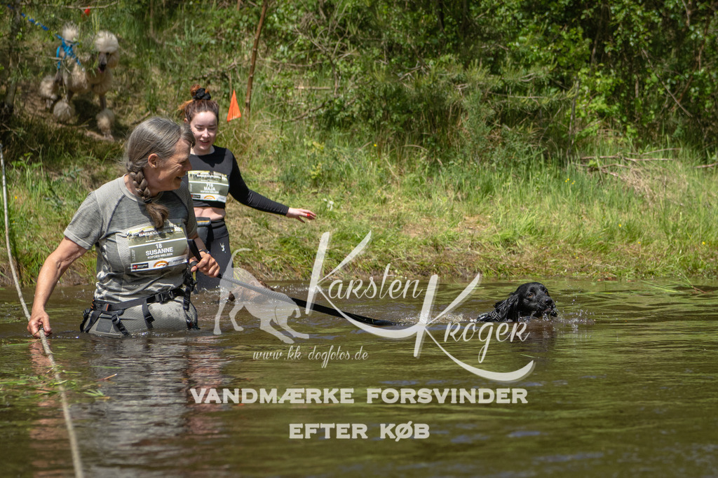 1216DKK992402 | kk-dogfotos