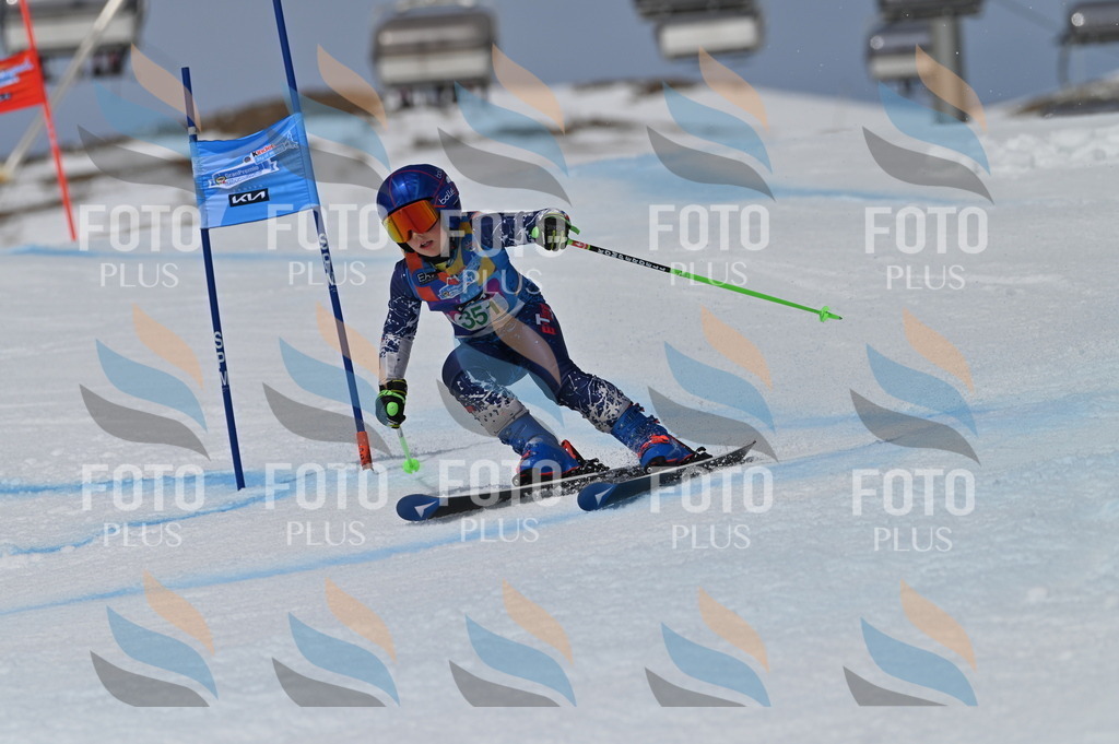 BGV_6907 | holidayphoto