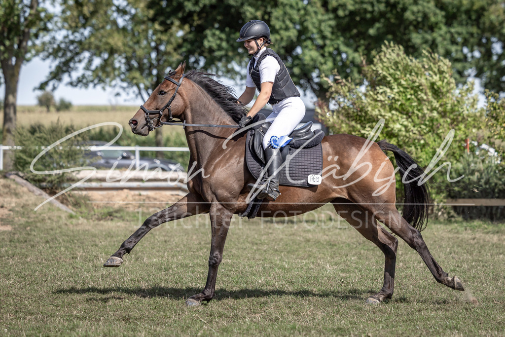 20250907-_3LI0386 | Tierfotografie Pferde, Hunde, Katzen, Haustiere.
Turnierfotografie Reitturniere, Reiten, Springreiten, Dressur in Hanau, dem Main-Kinzig-Kreis und dem Rhein-Main- Gebiet um Frankfurt