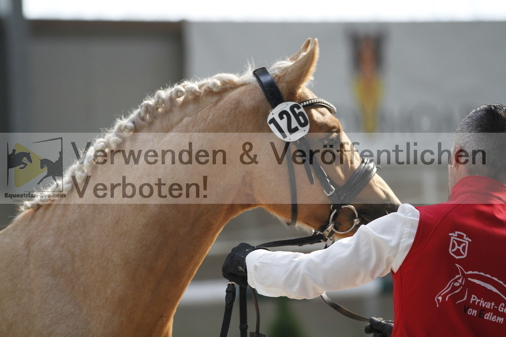 _MG_9725 | equestrian-live-com