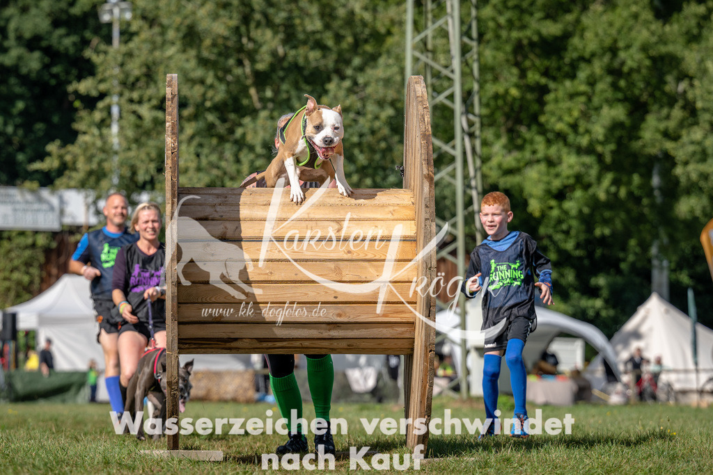 1119_ZZ94477 | kk-dogfotos