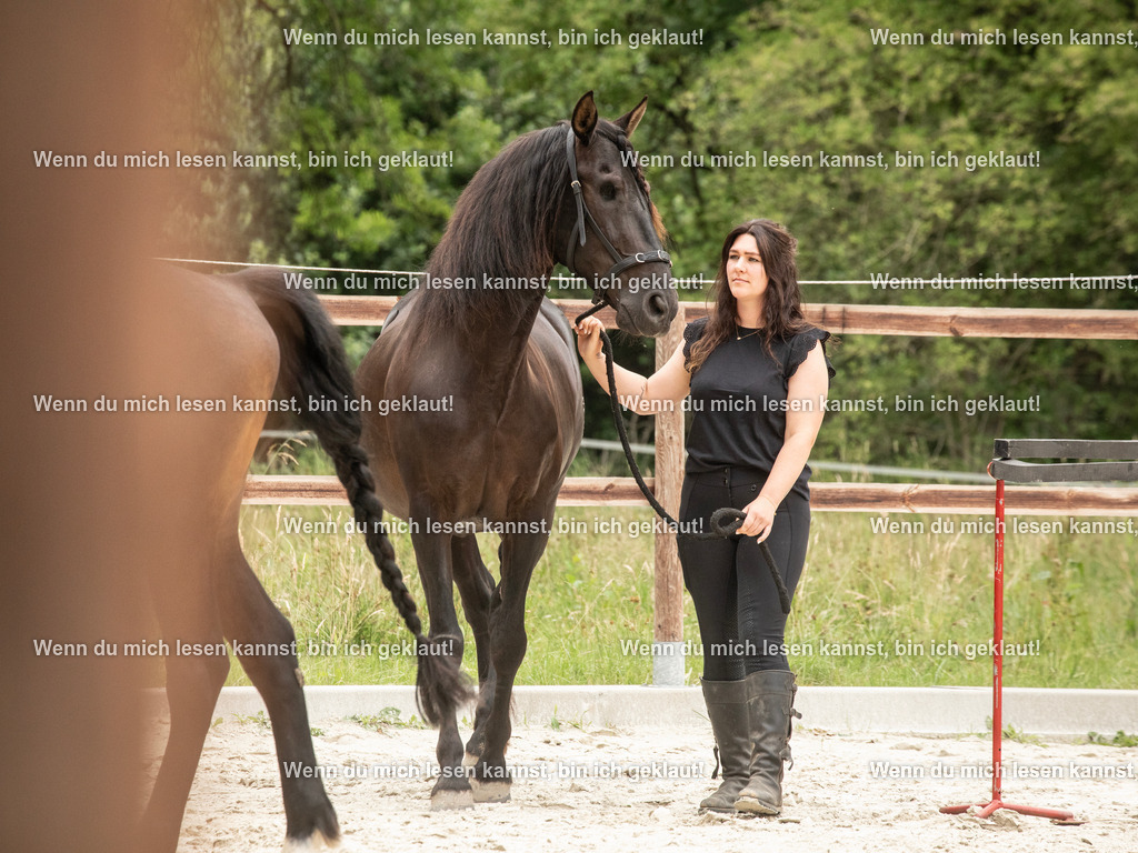 598A6214 | photographylinaismer - Realisiert mit Pictrs.com