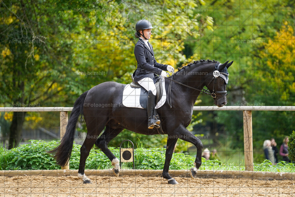 20221008-FAH01336 | Diessen am Ammersee, 2022, Dressur- und Springturnier, Reitsportbilder, Turnierfotografen Bayern, Pferdefotografen, Fotoagentur Herrmann, Turnierbilder