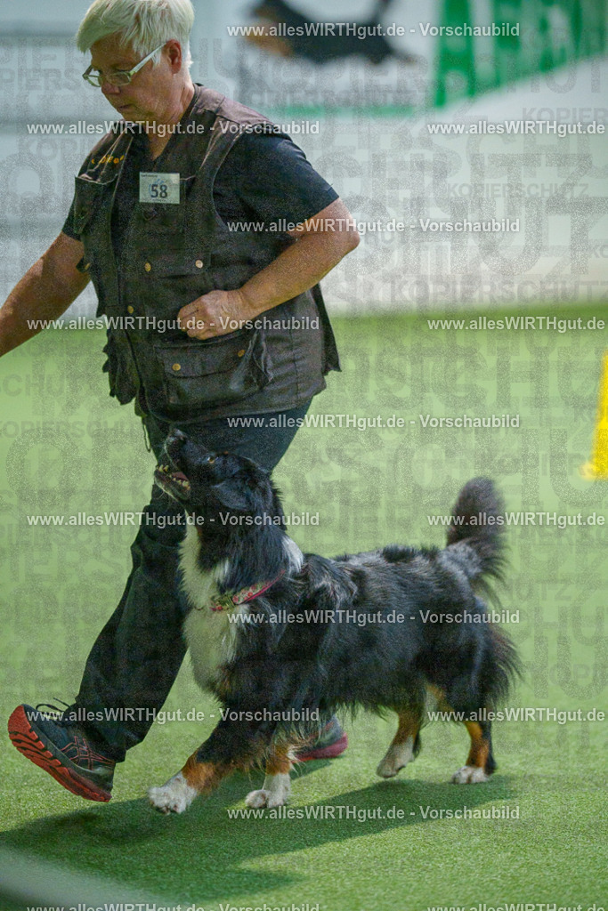 7R507138 | Professionelle Tierfotografie in Mönchengladbach von Daniel Wirth (allesWIRTHgut). Liebevolle & natürliche Bilder von Hunden & Katzen für unvergessliche Erinnerungen.