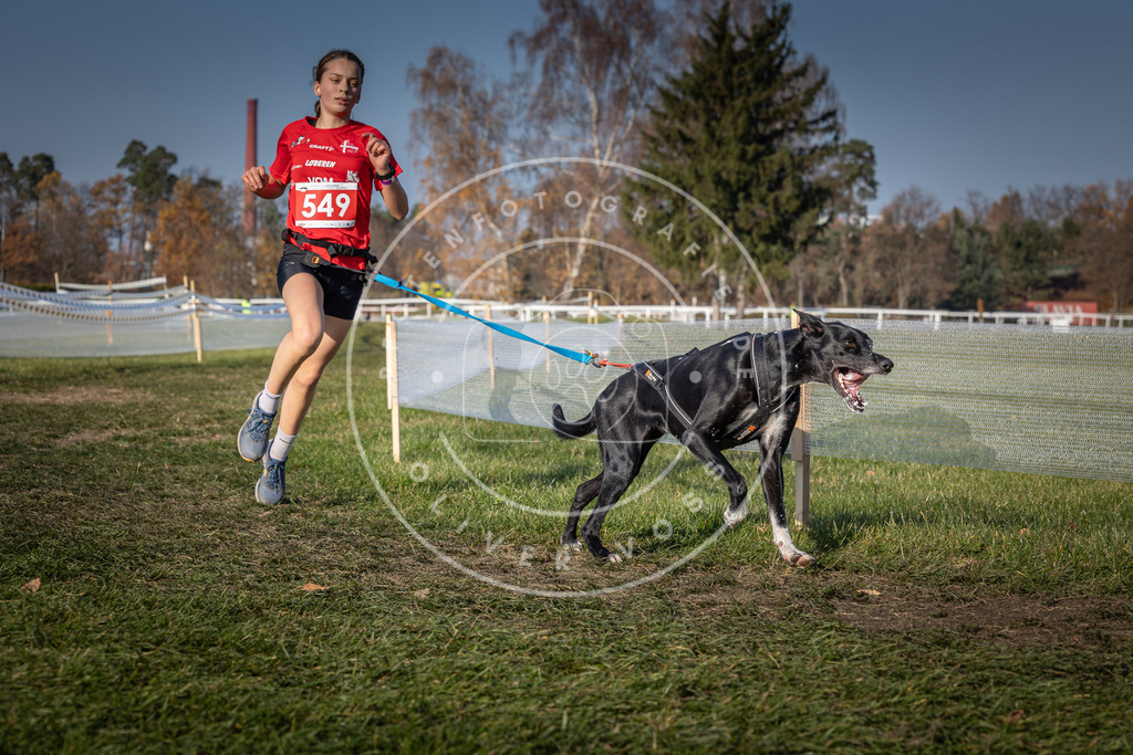CaniXpix_0L8A9069 | Hundefotografie, Tierfotograf, Pfotenfotografie, Fotoshooting Hund, Hunde Portrait, Hundesport, Hundeportraits, Heideshooting, Hunde, Sportfotograf, Hundefotograf, Turnierhundsport, THS,  - Realisiert mit Pictrs.com
