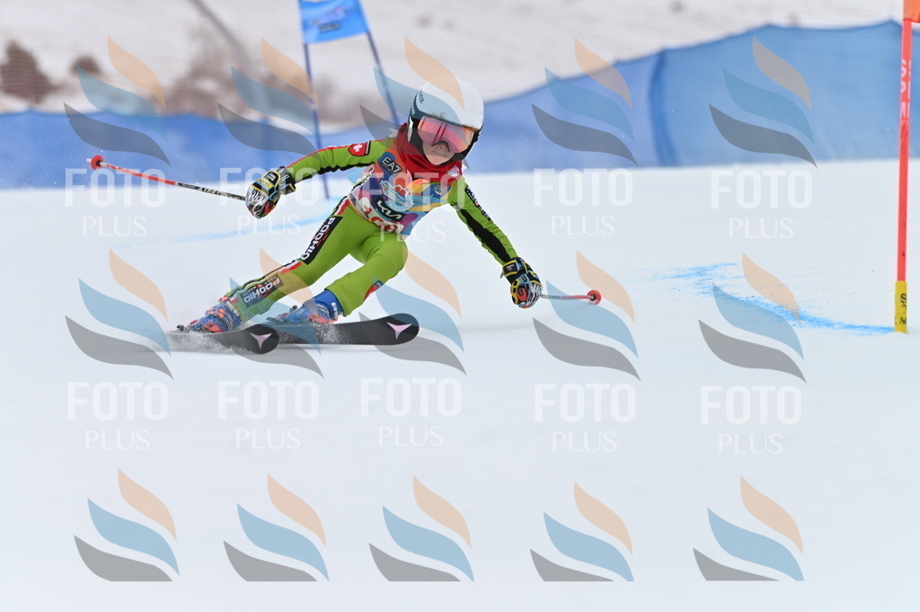 BGV_9351 | holidayphoto