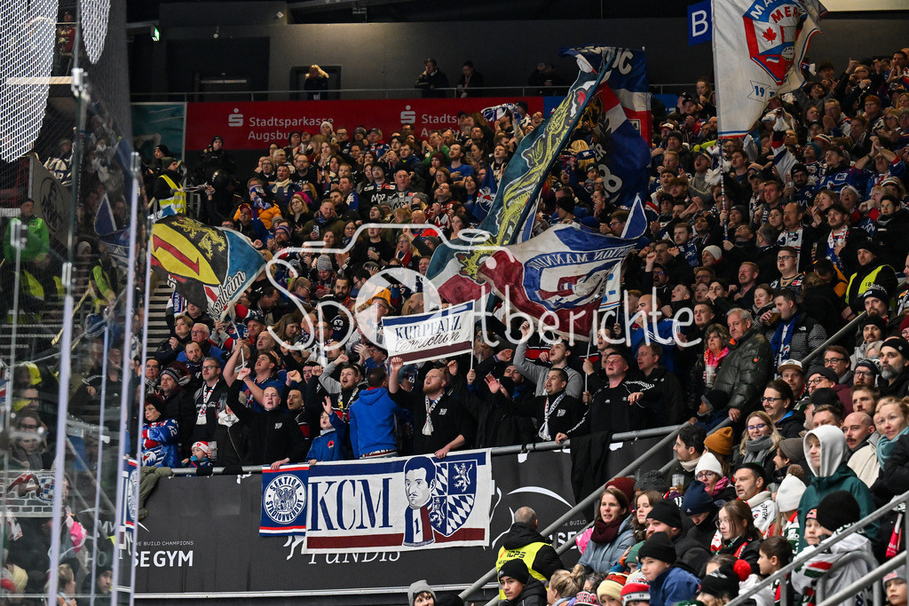 Augsburger Panther - Adler Mannheim | AUGSBURG, GERMANY - 28. DECEMBER: im Bild die mitgereisten Fans aus Mannheim während dem Match zwischen den Augsburger Panthern und den Adler Mannehim am 33. Spieltag der Penny DEL im Curt Frenzel Stadion