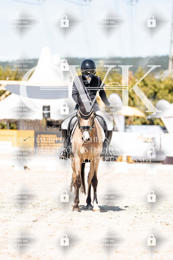CK909860 | Turnierfotografie Pferdefotografie Trier Rheinland-Pfalz Pferdesport Reitsport Tierfotografie Sportfotografie Pferdevideo Pferdevideografie Equestrianvideography equestrianphotography  - Realisiert mit Pictrs.com