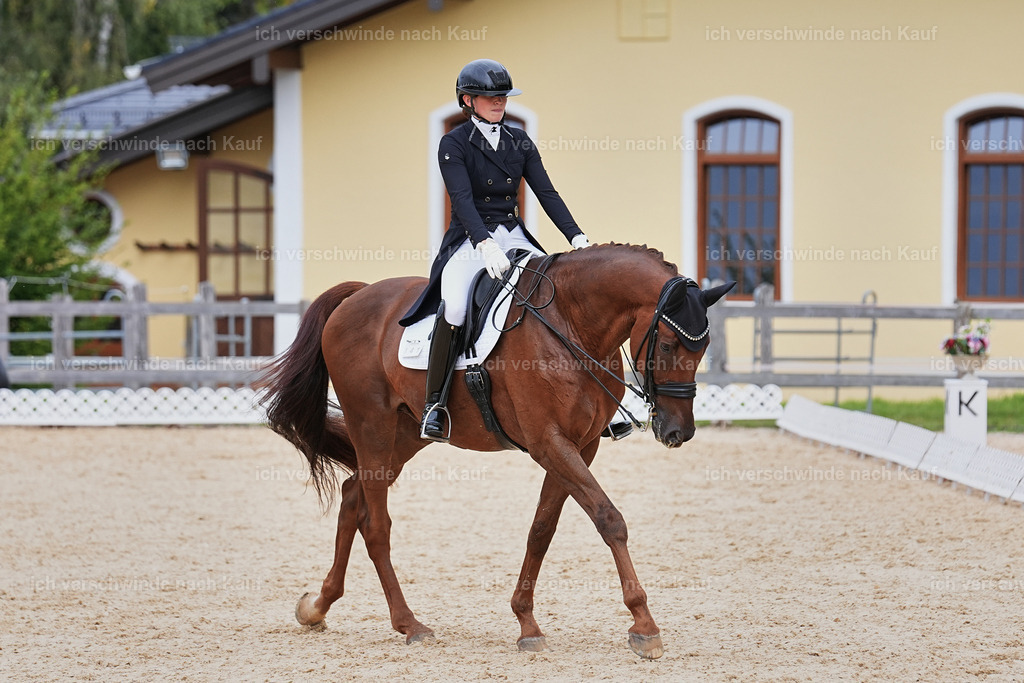 11-141-Dressur S___-Marixx-1829 | working equitationturnier fotograf videograf stoibphotography marixx film working equitation deutschland reitsport turnierfotografie eventfotografie equestrian events