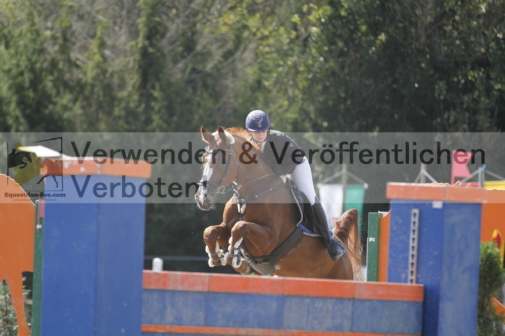 _MG_3229 | equestrian-live-com