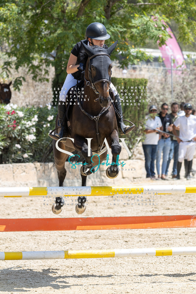 IMG_7683 | s-jay-photography - Realisiert mit Pictrs.com