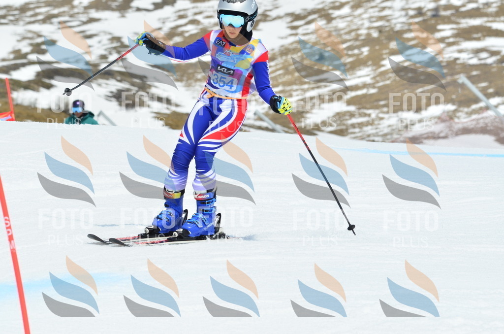 _ELE2731 | holidayphoto