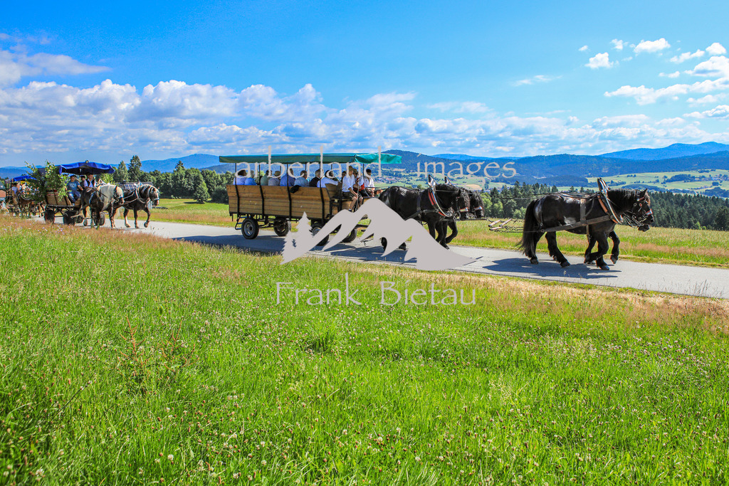 OE7A9834 | Medien- Sport- Entertainmentfotos