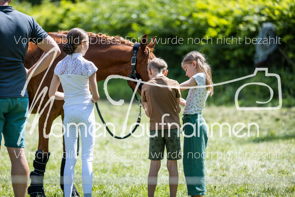 HH-Randmomente-001-4 | MomenTaufnahmen Pferdesportfotos