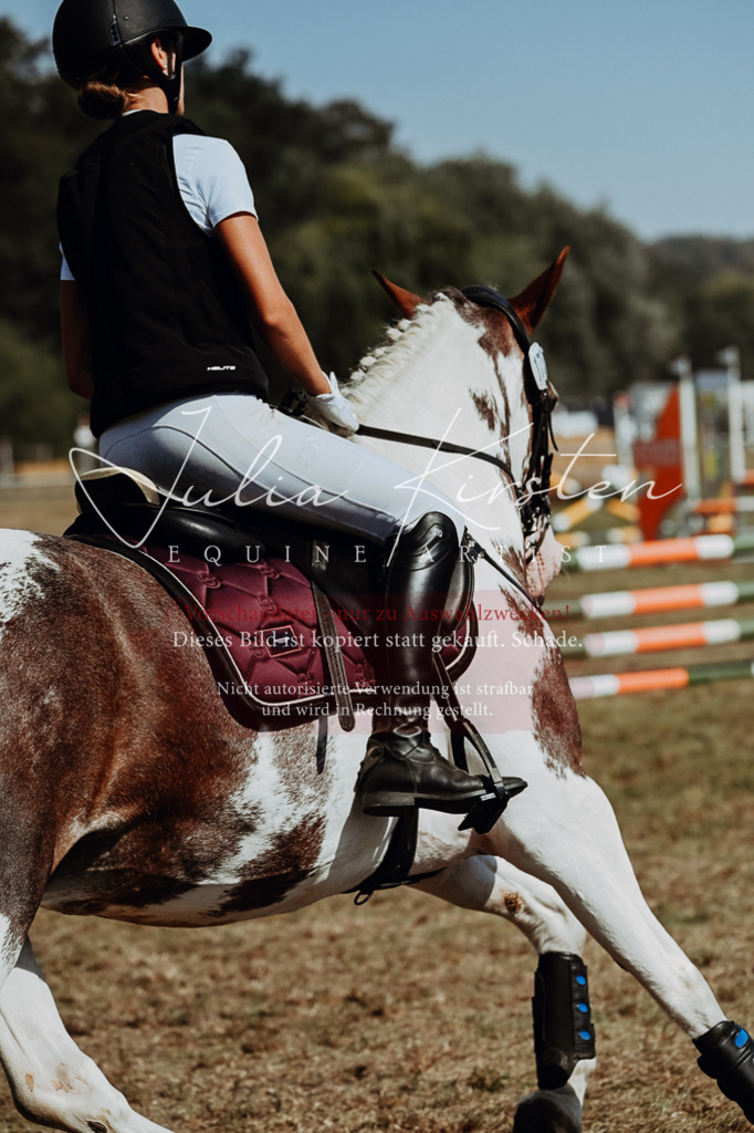 DSC_9824 | Pferde- und Turnierfotografie in Westsachsen. Pferdeportraits, Auftragszeichnungen und intuitive Kunst.