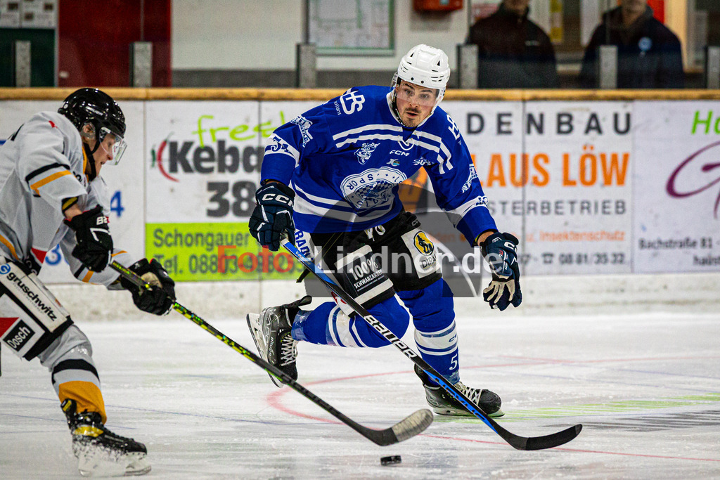 SC Forst NATURE BOYS gegen WANDERERS Germering | Eishockey Landesliaga Herren Gruppe A 2024/2025, SC Forst NATURE BOYS gegen WANDERERS Germering, 20241025,Maximilian BRAUER (Nature Boyz 51) in Aktion,2024-10-25 in Peißenberg (Eisstadion Peißenberg), Maximilian BRAUER (Nature Boyz 51)Copyright: WolfgangxLindner www.foto-lindner.de