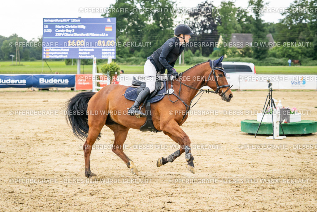 DSC06590 | Pferdegrafie