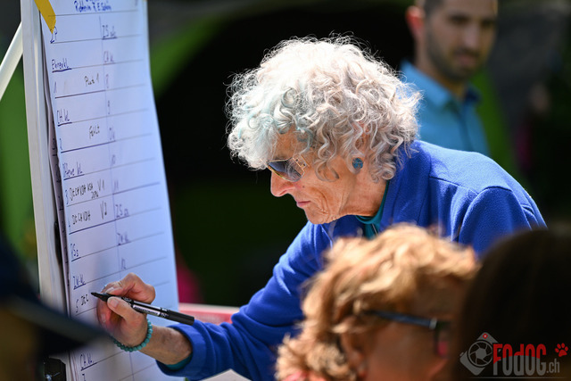 Ausstellung des Pinscher Schnauzer-Klub | Ausstellung des Pinscher-Schnauzer-Klub, OG München in Gröbenzell 29.07.2023 Foto: Leo Wyden