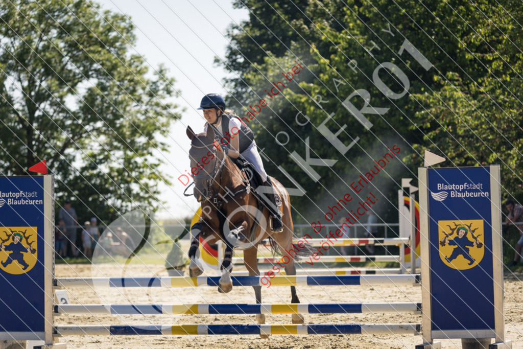 IMG_3093 | Sport-, Event- und Tierfotos in Profiqualität. Einfach auswählen, bestellen und herunterladen. Dein Moment – perfekt festgehalten.