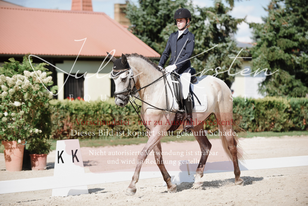 DSC_9896 | Pferde- und Turnierfotografie in Westsachsen. Pferdeportraits, Auftragszeichnungen und intuitive Kunst.
