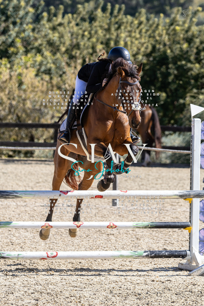 IMG_6502 | s-jay-photography - Realisiert mit Pictrs.com