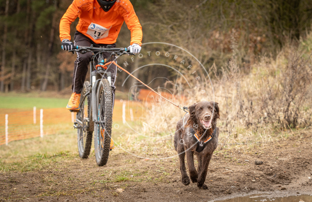DV3A0943 | Hundefotografie, Tierfotograf, Pfotenfotografie, Fotoshooting Hund, Hunde Portrait, Hundesport, Hundeportraits, Heideshooting, Hunde, Sportfotograf, Hundefotograf, Turnierhundsport, THS,  - Realisiert mit Pictrs.com