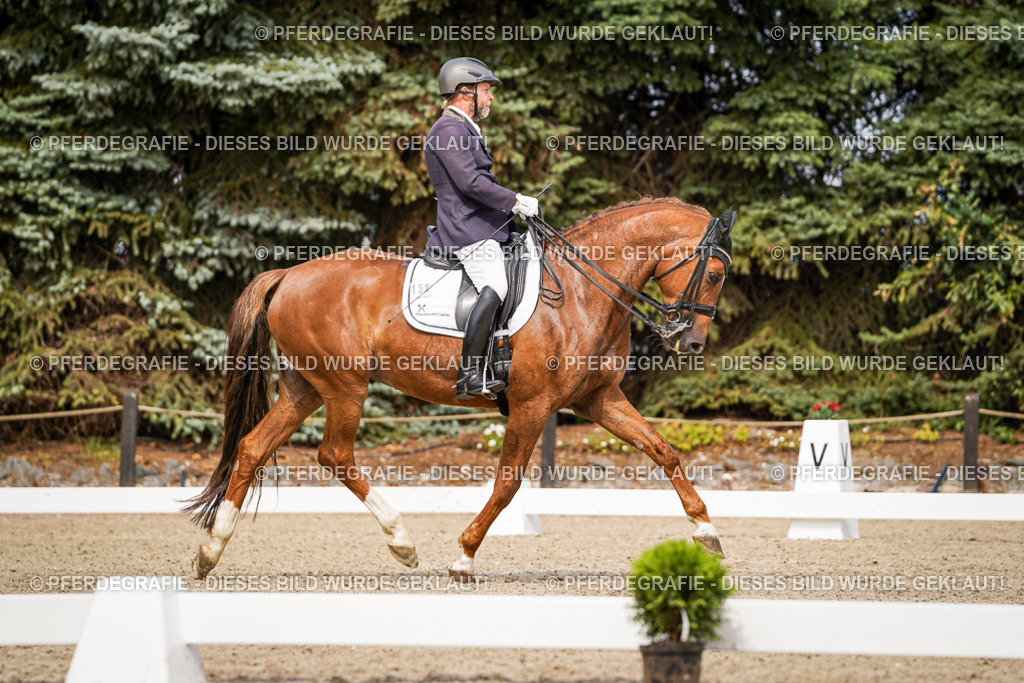 DSC05741 | Pferdegrafie