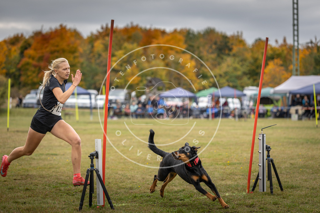 Pfotenfotografie_DV3A7725 | Hundefotografie, Tierfotograf, Pfotenfotografie, Fotoshooting Hund, Hunde Portrait, Hundesport, Hundeportraits, Heideshooting, Hunde, Sportfotograf, Hundefotograf, Turnierhundsport, THS,  - Realisiert mit Pictrs.com