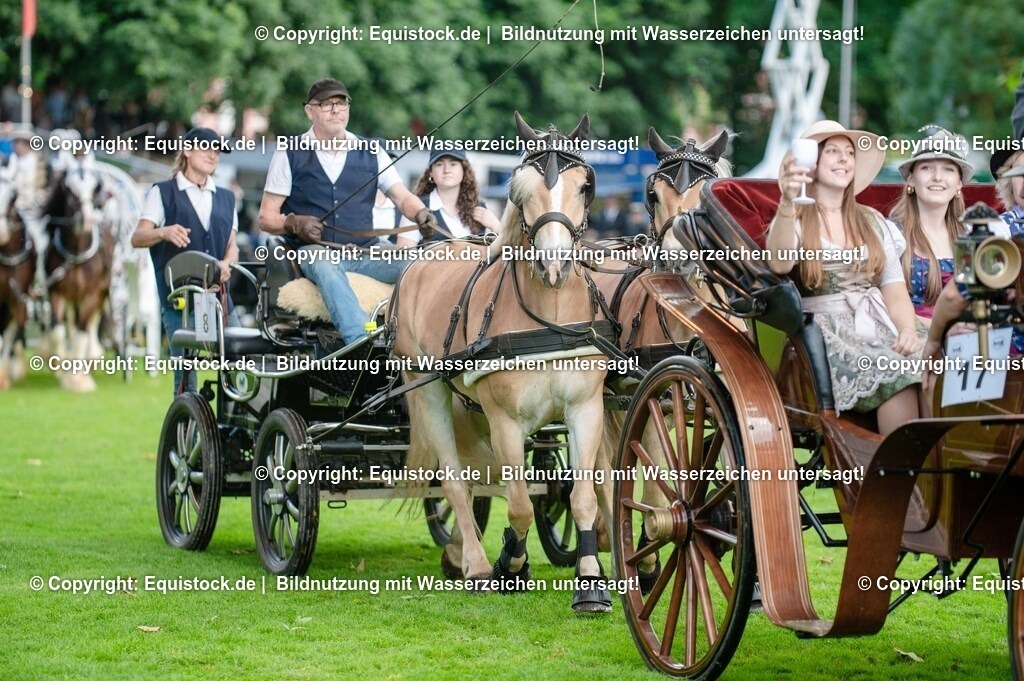 20250606_Lange-Pferdenacht_0069-2 | Foto: Thomas Hartig