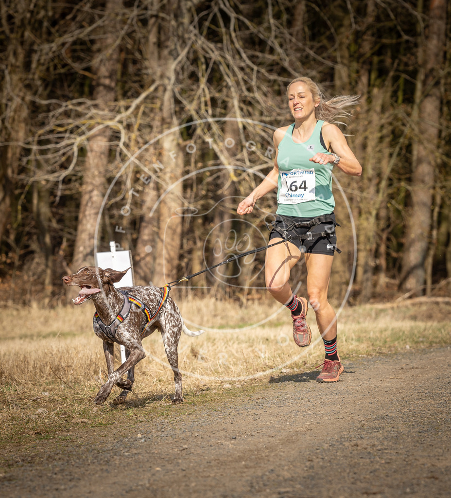 DV3A5603 | Hundefotografie, Tierfotograf, Pfotenfotografie, Fotoshooting Hund, Hunde Portrait, Hundesport, Hundeportraits, Heideshooting, Hunde, Sportfotograf, Hundefotograf, Turnierhundsport, THS,  - Realisiert mit Pictrs.com