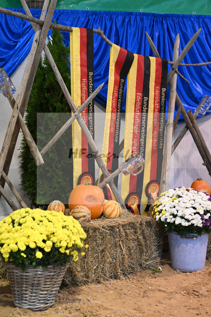 Schauprogramm_54222419 | hf-fotografie - Realisiert mit Pictrs.com