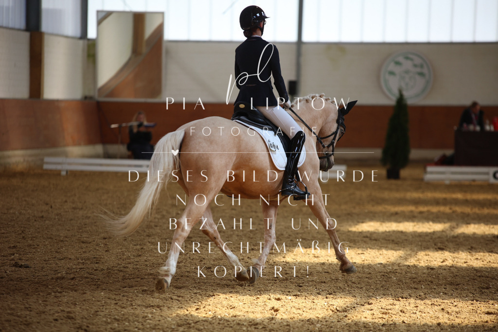 IMGT4915 | pl-fotografie