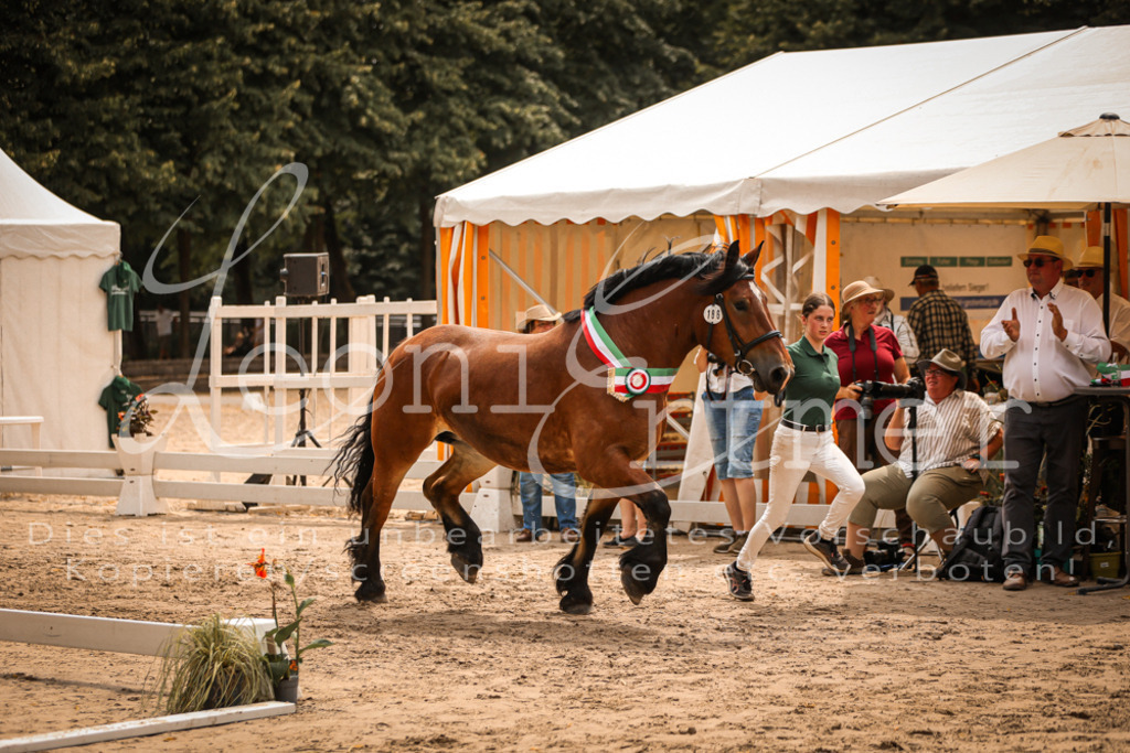 SaSieger00071 | Leoni Ertmer Photography - Realisiert mit Pictrs.com