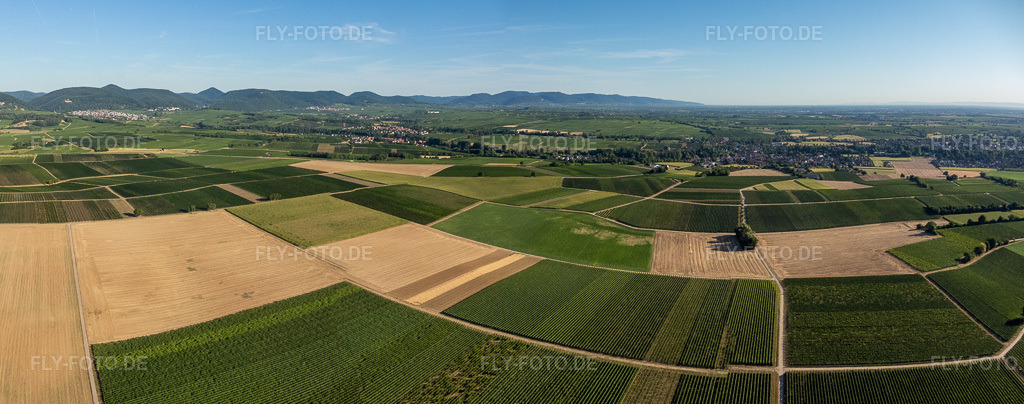 Luftbild: Panorama von Feldern und Weinbergen um Billigheim im Ortsteil Ingenheim in Billigheim-Ingenheim im Bundesland Rheinland-Pfalz in Deutschland. Foto: P8080016-Pano.jpg vom 08.08.2022 durch Werner Riehm/FLY-FOTO.deAuflösung des Originals: 7026 x 2775 px