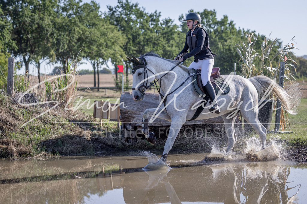 20260906-_3LI1555 | Tierfotografie Pferde, Hunde, Katzen, Haustiere.
Turnierfotografie Reitturniere, Reiten, Springreiten, Dressur in Hanau, dem Main-Kinzig-Kreis und dem Rhein-Main- Gebiet um Frankfurt
