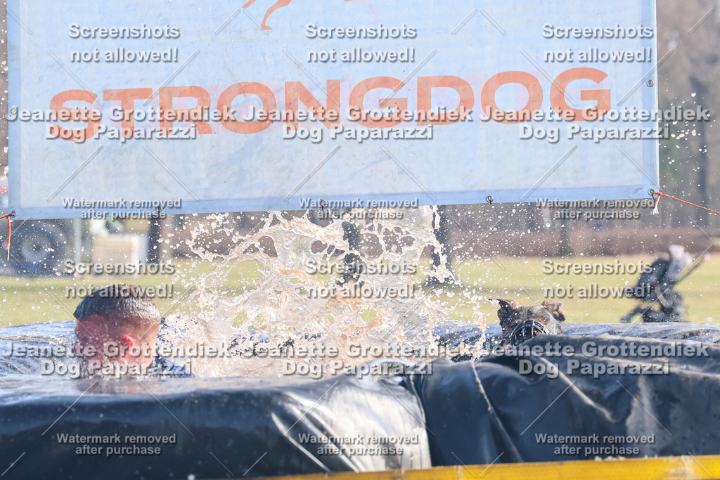 Dog Paparazzi - Strongdog North Mrz26-956 | Dog Paparazzi Jeanette Grottendiek Fotografie & Videografie - Realisiert mit Pictrs.com