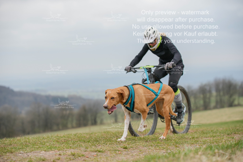 BikeSA-312 | stephaniefillaphotographie - Realisiert mit Pictrs.com