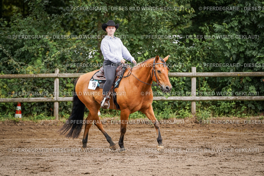 DSC08637 | Pferdegrafie