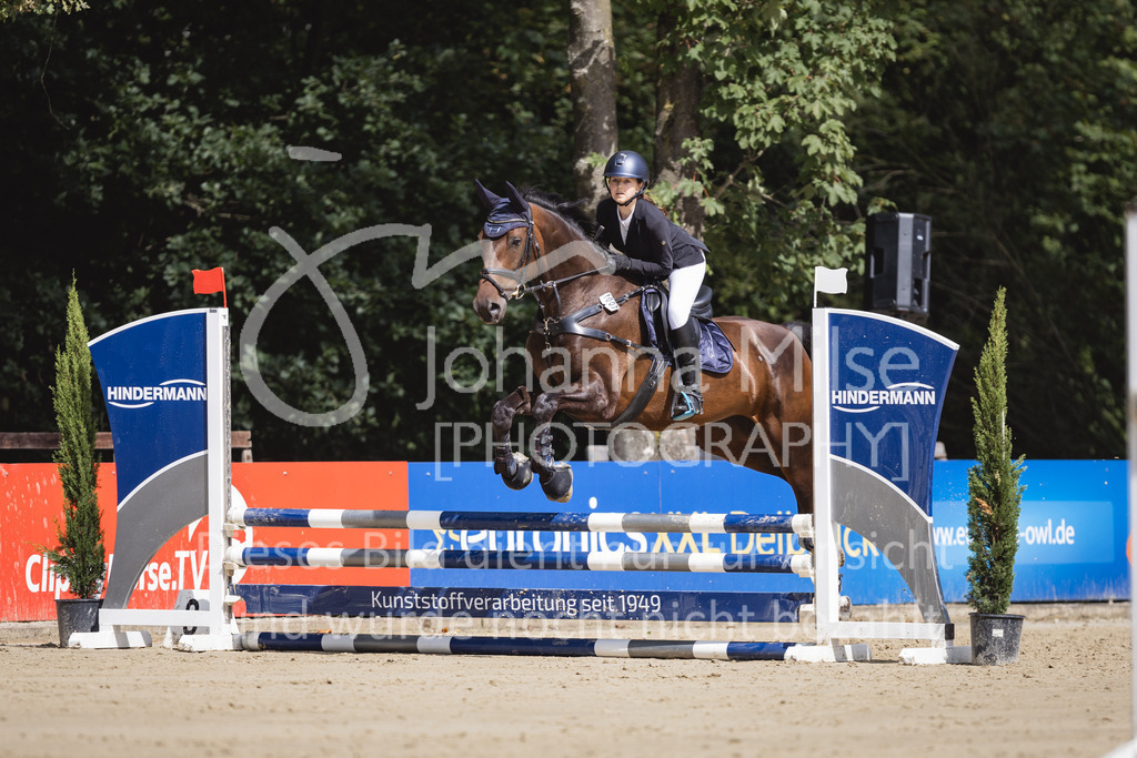 230826_Delbrueck_Stil-E-713 | Deine schönsten Turniermomente als professionelle Fotos! Entdecke hochwertige Pferdesport-Fotografie im Online-Shop. Jetzt Fotos finden & bestellen!