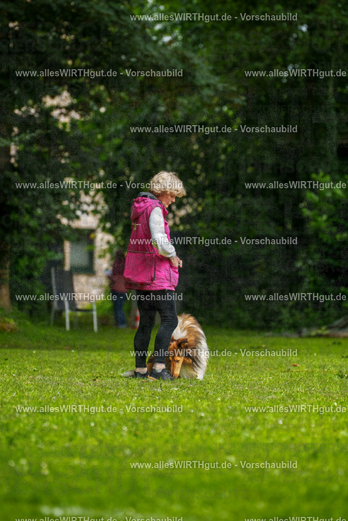@allesWIRTHgut_Tierfotografie - www.allesWIRTHgut.de - 094921-7R507650 | Professionelle Tierfotografie in Mönchengladbach von Daniel Wirth (allesWIRTHgut). Liebevolle & natürliche Bilder von Hunden & Katzen für unvergessliche Erinnerungen.
