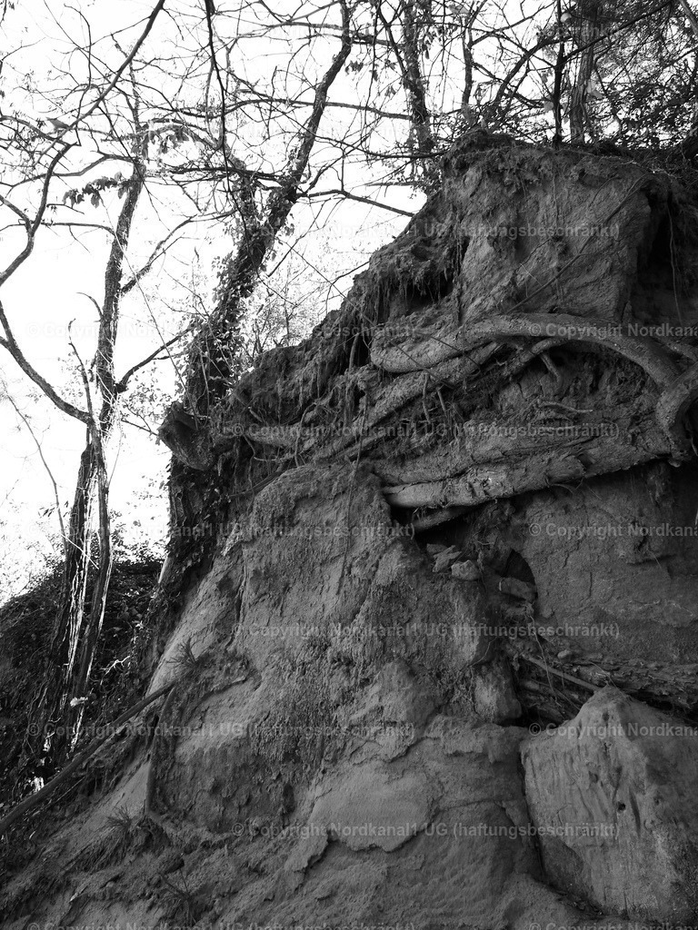 IMG_2912 | OLYMPUS DIGITAL CAMERA          - Realisiert mit Pictrs.com