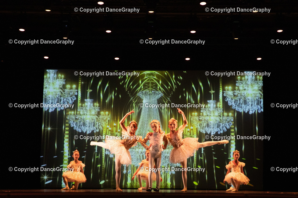 GPHY6575 | DanceGraphy - Realisiert mit Pictrs.com