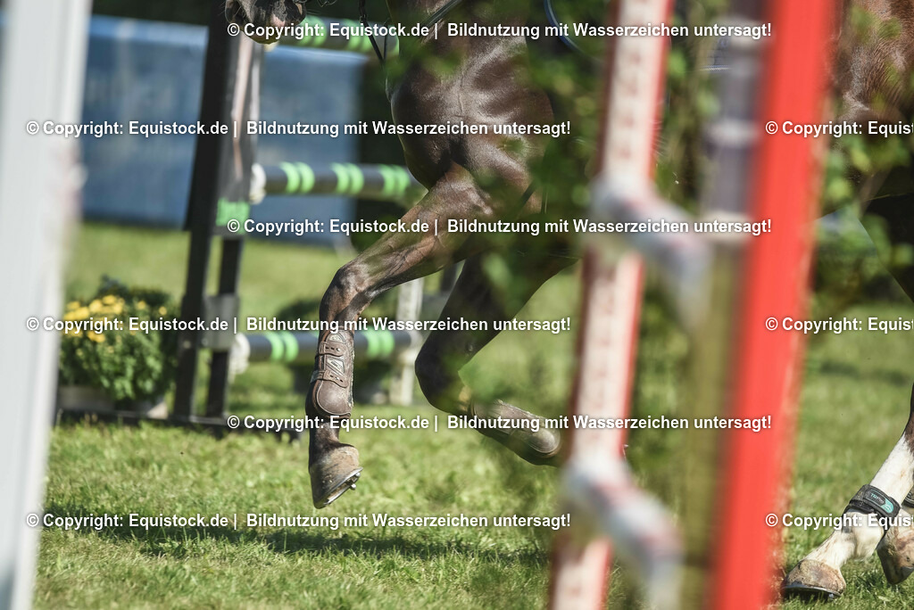 20230909_22_Springen_M_0074 | Foto: Thomas Hartig